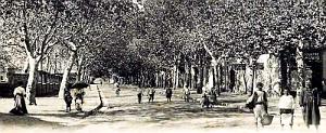 2749Blida - Avenue de la Chiffa2 - 1916